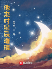 他来时星辰璀璨