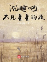 沉睡吧，不见星星的夜