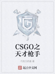 CSGO之天才枪手