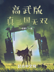 高武版真三国无双